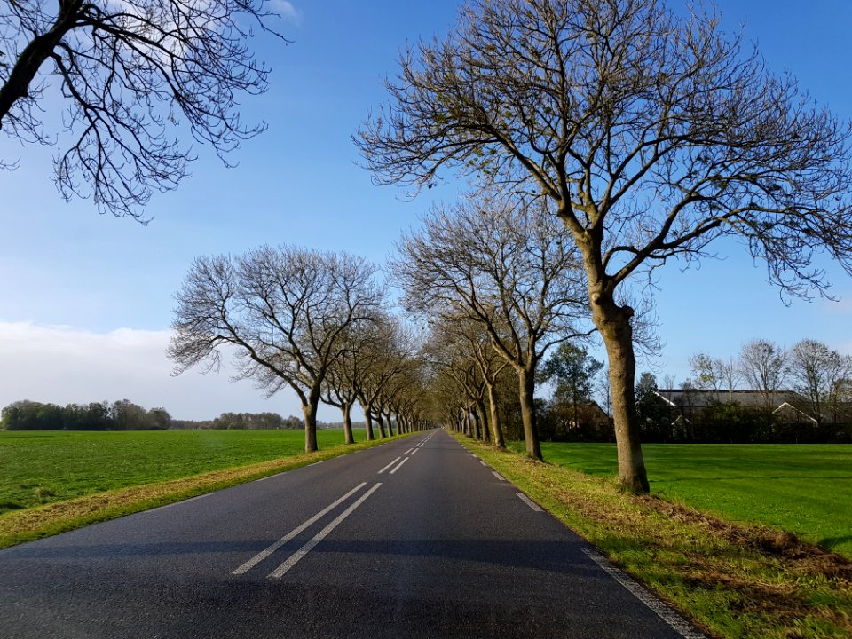 Oldemarkt-Ossenzijlerweg
