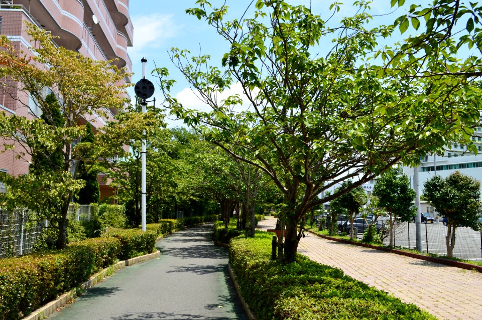 Old rail track of Komatsushima-line