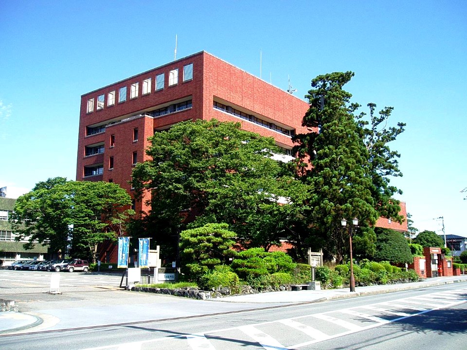Old-Sugi-Tree-and-Oshu-City-Hall-2013080401