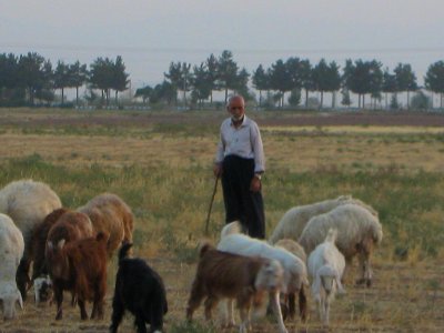 Oldman Ranceher in the outskirt of Nishapur - near Maghrebi mausoleum - upon Old Nishapur soil 17