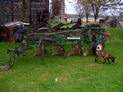 Oliver four bottom moldboard plow