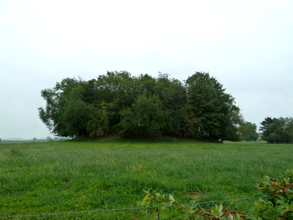 Oleye-Tumulus van Oleye (1)