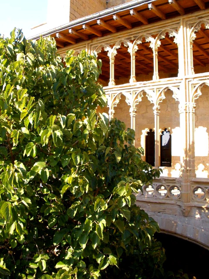 Olite - Palacio Real, Galería del Rey 04