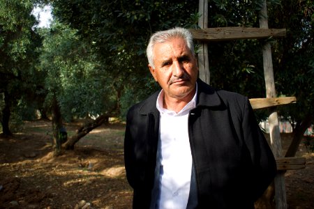 Olive orchard in Koye in the Arbil Governorate of the Kurdistan Region of Iraq 05