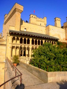 Olite - Palacio Real 15