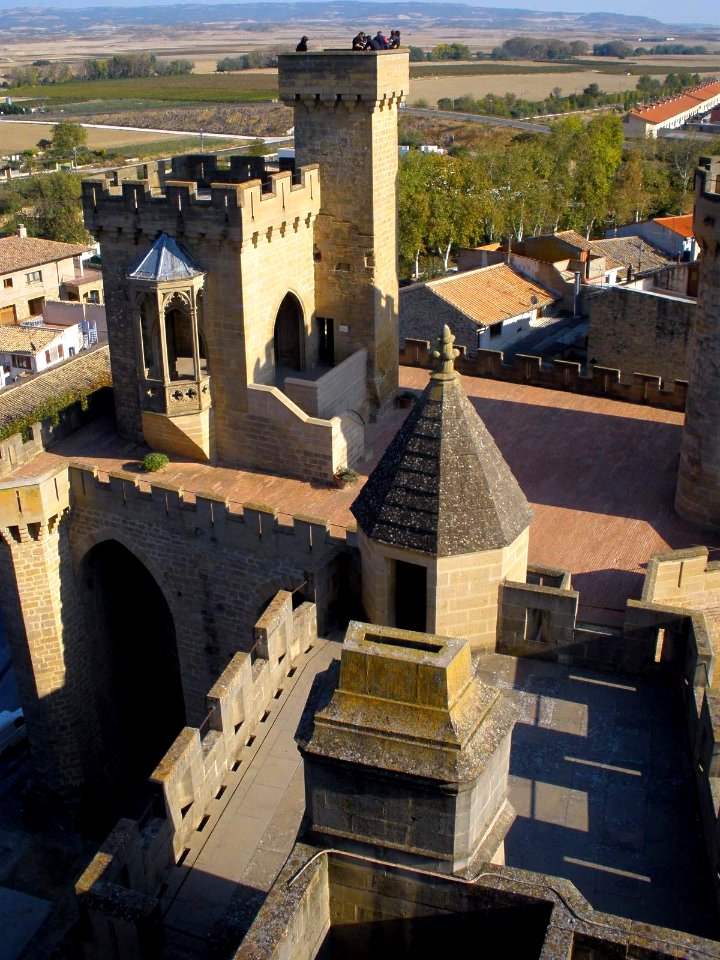 Olite - Palacio Real 03