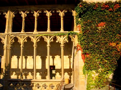 Olite - Palacio Real, Galería del Rey 03