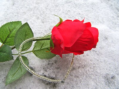 Love decoration romance