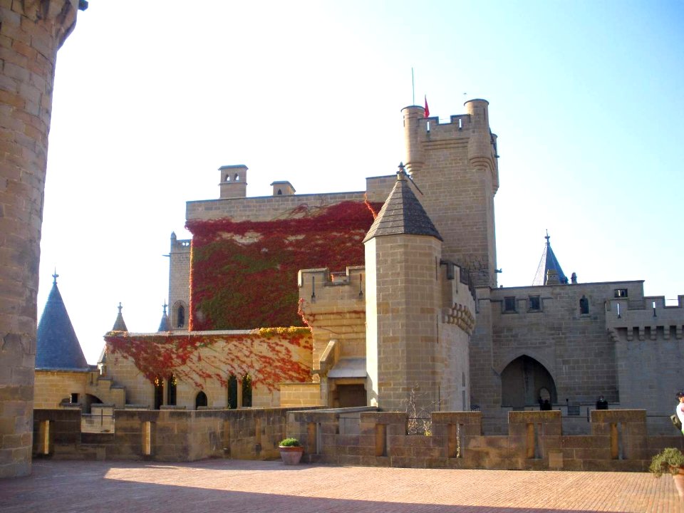 Olite - Palacio Real 14