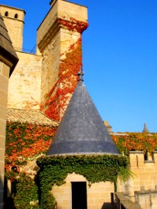 Olite - Palacio Real 11