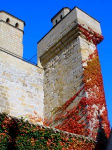 Olite - Palacio Real 07