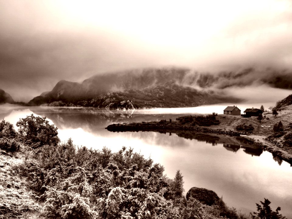 Olympus Digital Camera (195926783)