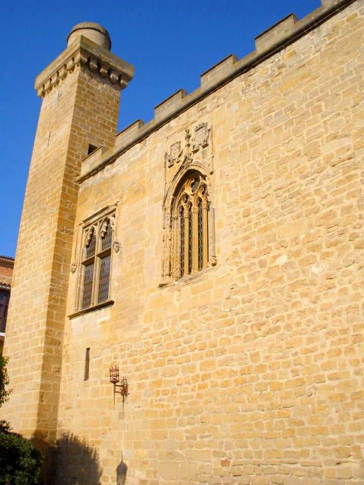 Olite - Castillo Viejo-Parador Nacional Principe de Viana 09