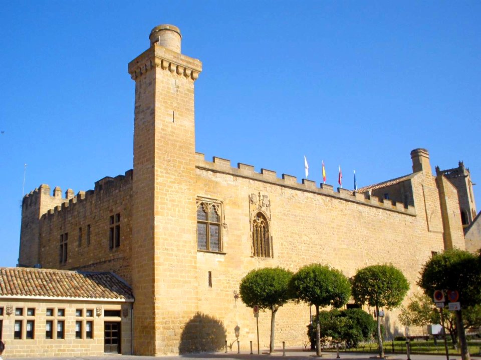 Olite - Castillo Viejo-Parador Nacional Principe de Viana 07