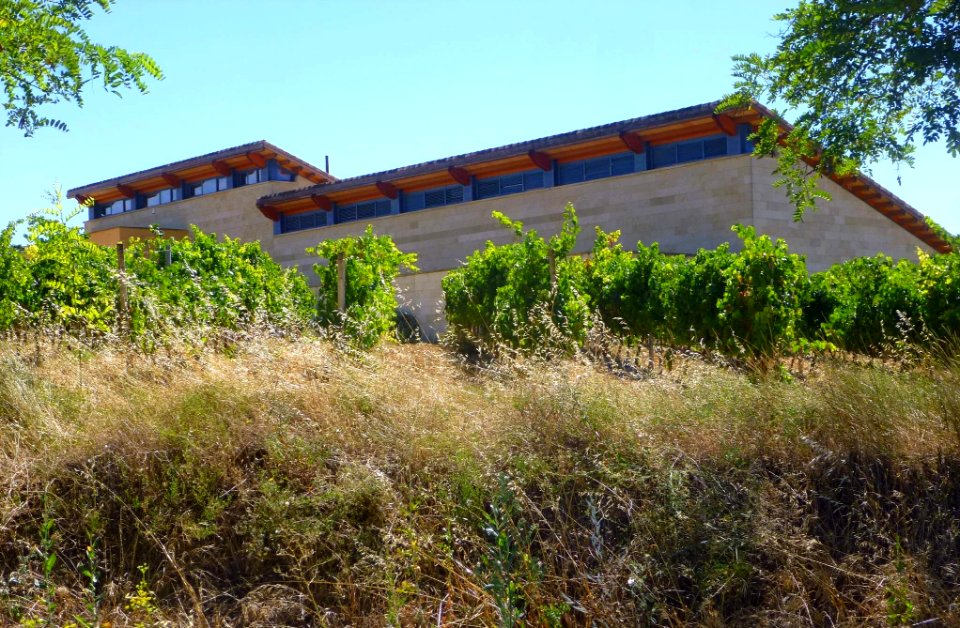 Ollauri - Compañía Bodeguera Valenciso 1