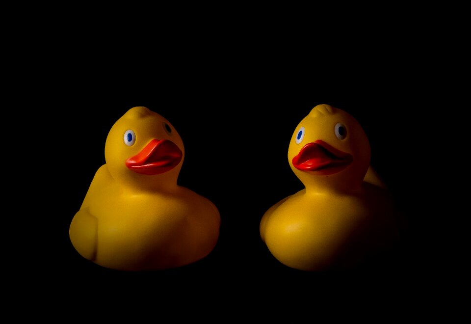 Rubber duck rubber ducks bath toy