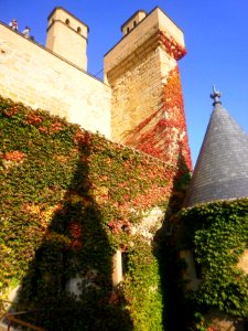 Olite - Palacio Real 13