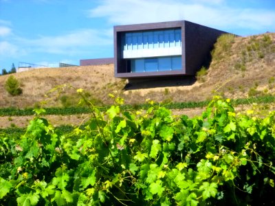 Ollauri - Bodegas Regalía de Ollauri-Marqués de Terán 5