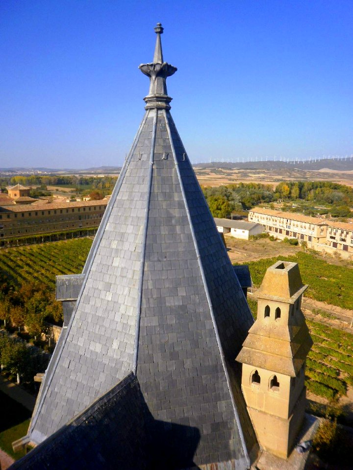 Olite - Palacio Real 06