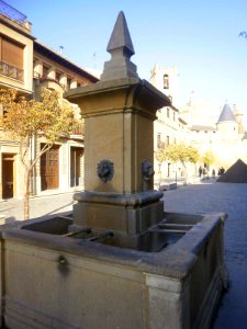 Olite - Fuente 1