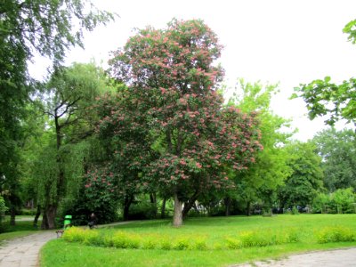 OLSZTYN, AB. 196