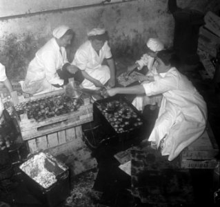 Oliebollenbakken, Bestanddeelnr 905-4724