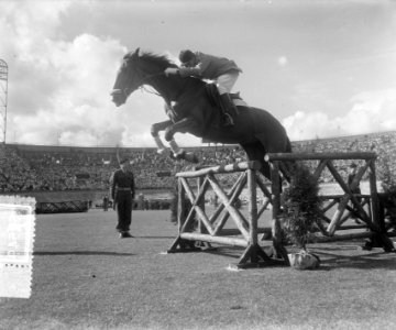 Olympische dag Amsterdam paardensprong, Bestanddeelnr 905-7549