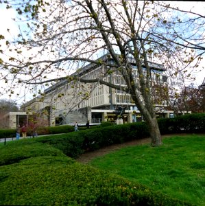 Olin Library and tree and grass and students at Cornell University