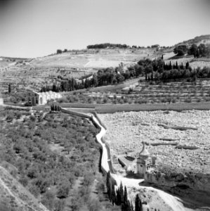 Olijfgaarden en twee kerken aan de voet van Mount Scopus, Bestanddeelnr 255-5149
