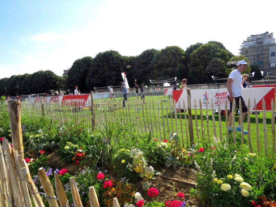 Olympic Days Paris June 2017 - 15