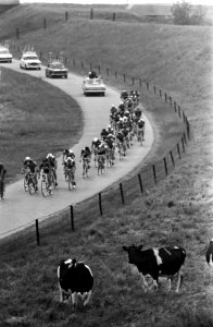 Olympiatoer 1965, de renners in actie, Bestanddeelnr 917-8200