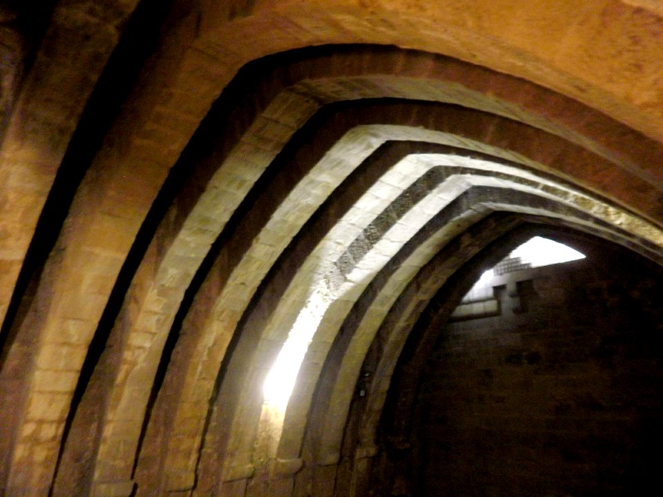 Olite - Palacio Real, Sala de los Arcos