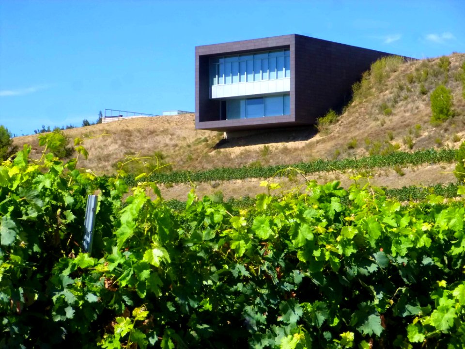 Ollauri - Bodegas Regalía de Ollauri-Marqués de Terán 7