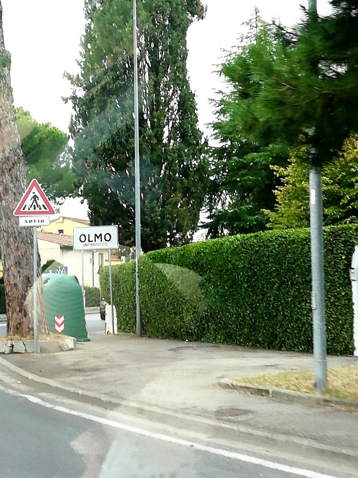 Olmo (Scandicci) 02
