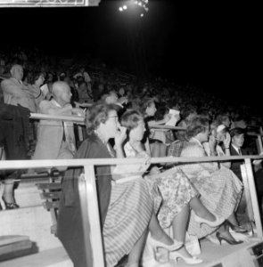 Olympische Spelen te Rome, Koninklijke familie in het zwemstadion, Bestanddeelnr 911-5867