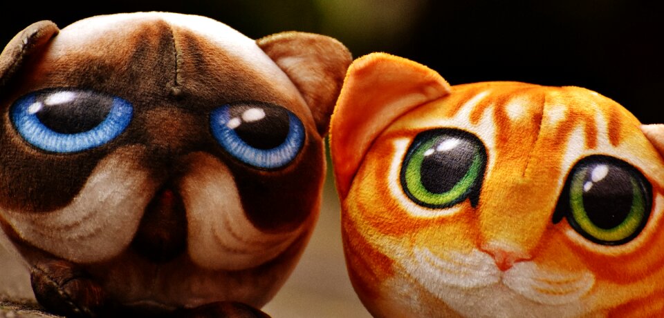 Stuffed animal toys soft