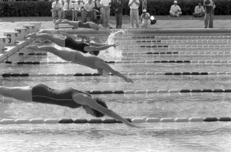 Olympische Spelen te Rome, 1 start eerste serie vlinderslag, 2, 3 rechts Schuler, Bestanddeelnr 911-5846 photo