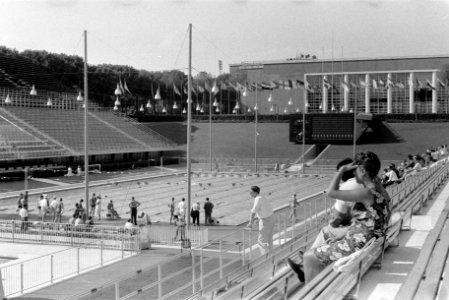 Olympische Spelen te Rome, training in het Olympisch zwembad, Bestanddeelnr 911-5225 photo