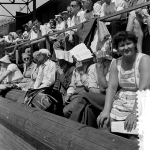 Olympische dag in Olympsich Stadion Amsterdam . Warmte, Bestanddeelnr 908-7288