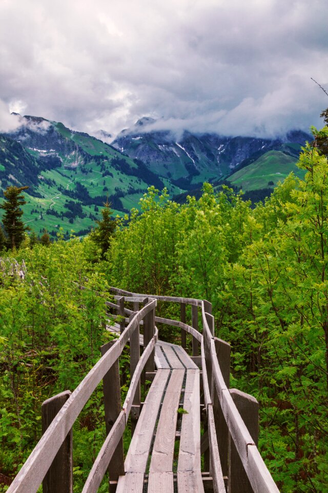 Mountains wood boardwalk