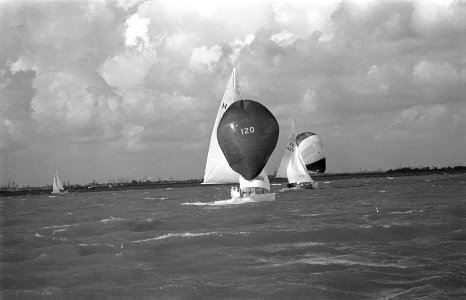 Op het IJselmeer bij Muiden, Nationale Zeilwedstrijden, Bestanddeelnr 914-3166