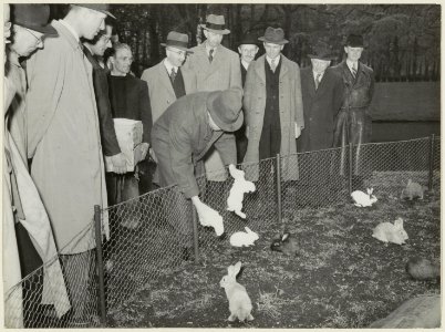 Op 23 april 1948 werd in de Hertenkamp in de Haarlemmerhout door enige wethouders van de gemeente Haarlem de Konijnenberg geopend. NL-HlmNHA 54004041