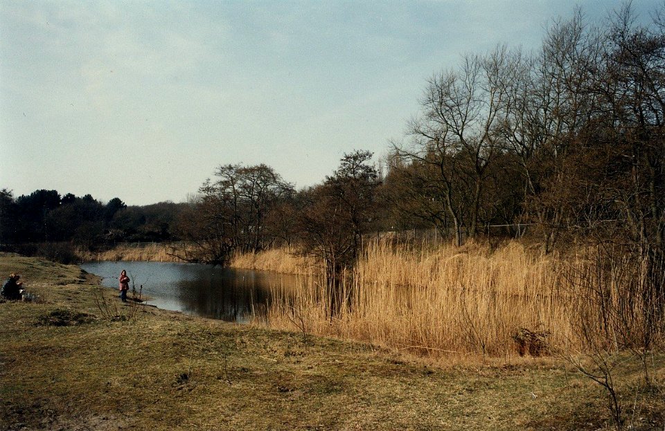 Op het eerste gezicht is het terrein aan de Duin en Kruidbergerweg onooglijk. Projectontwikkelaar J. van Braam ziet niettemin mogelijkheden om er vijf luxe woningen op te bouwen. Aangekocht in 1997 va
