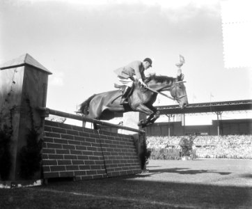Olympische dag in stadion Bisschoff von Heemskerk paardensprong, Bestanddeelnr 905-1256