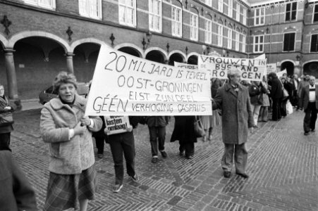 Op het Binnenhof werd gedemonstreerd door verschillende woonkostencomites tegen , Bestanddeelnr 931-2098