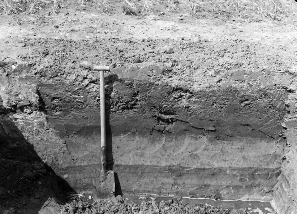 Oorspronkelijke opbouw van de bodem, Bestanddeelnr 250-8016