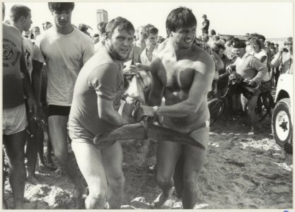 Op het strand is een dolfijn aangespoeld. NL-HlmNHA 54013193 2