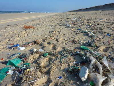 Coast beach trash photo