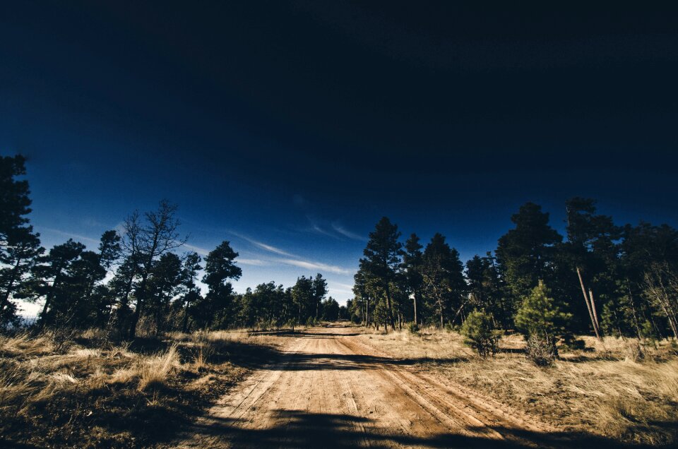 Landscape nature nature trail