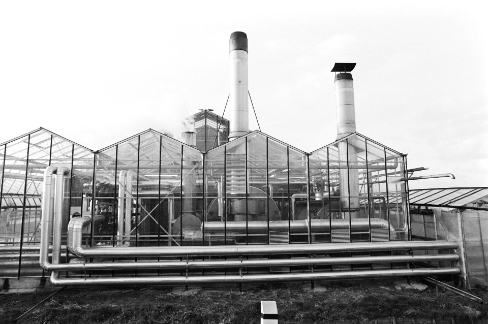 Op diverse plaatsen in Westland werd deze week landbouwgi Methyl-bromide in het , Bestanddeelnr 931-2384